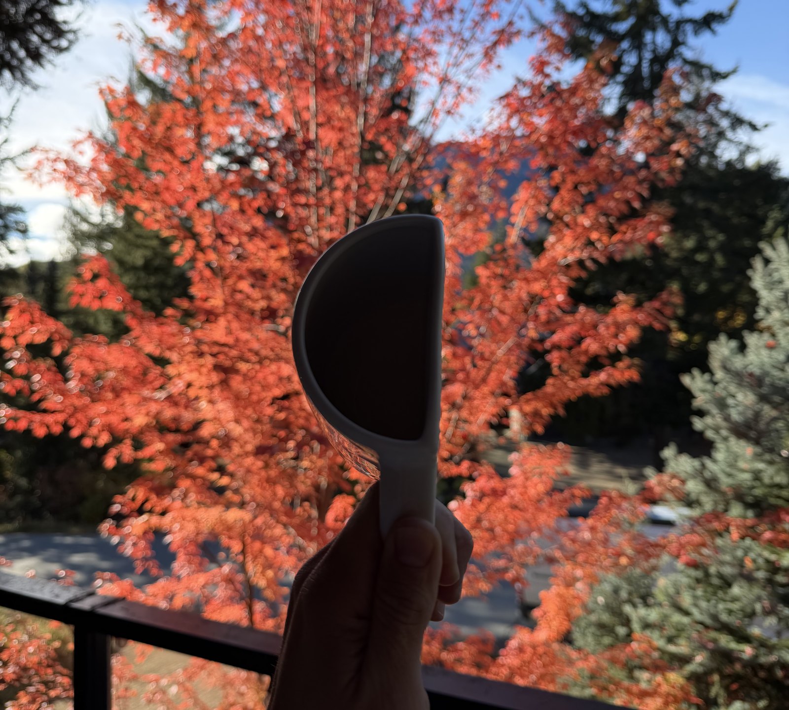 The same mug from the side, held up against a red maple: only half of it is there